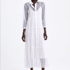 Zara Tulle Polka Dot Dress